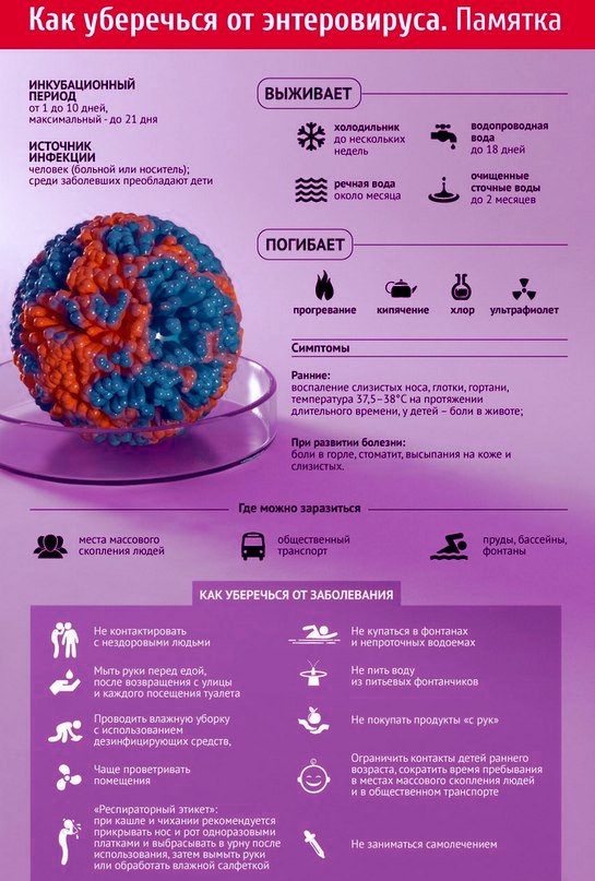 Энтеровирусная инфекция презентация