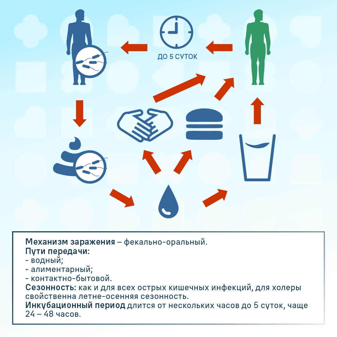 Профилактика кишечных инфекций и холеры